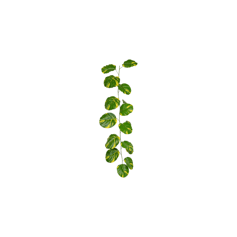 Scindapsus Aureum - kunstplant