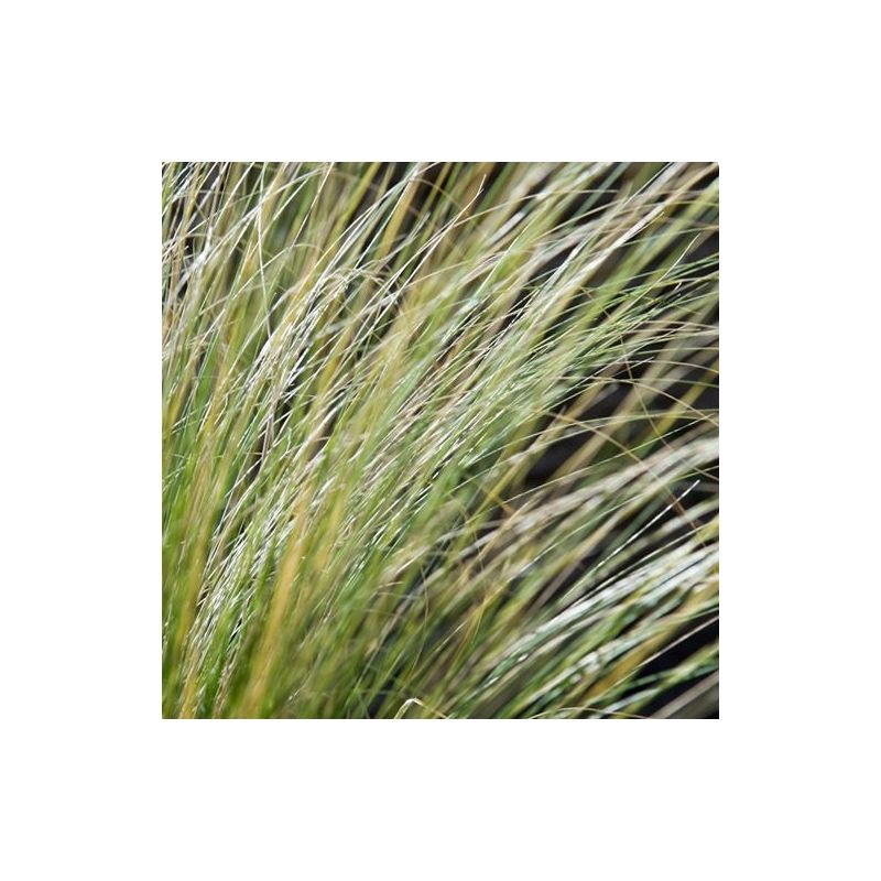 Stipa Ponytails - 6 stuks