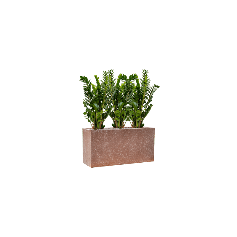 Terrazzo Box Mokka