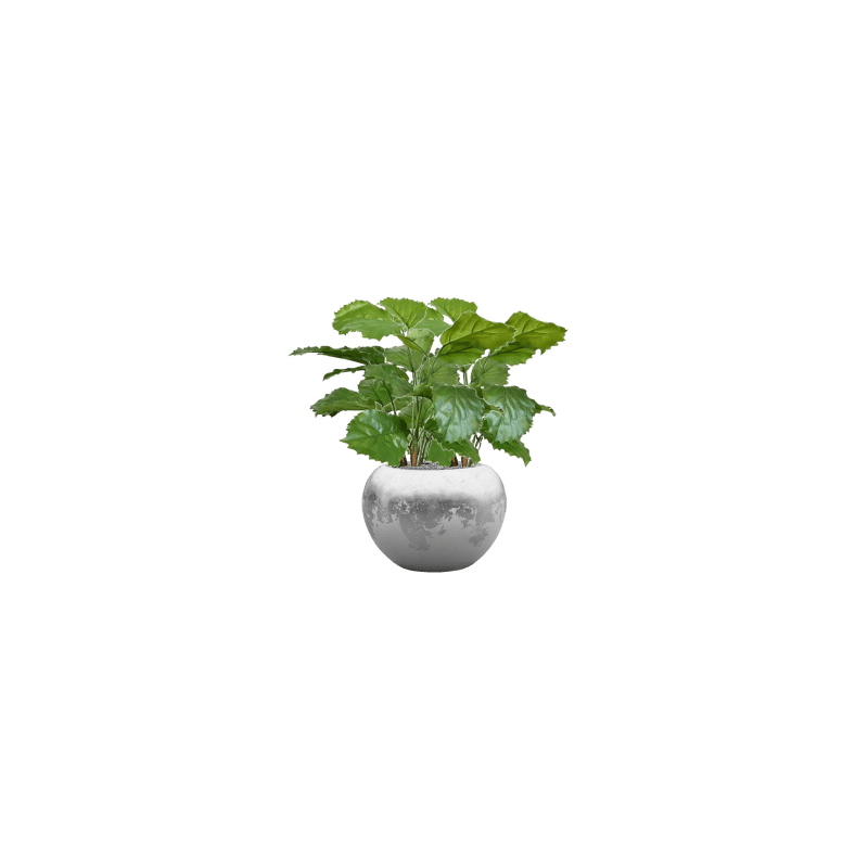 Tetrastigma Voinierianum in Luxe Lite Glossy Globe Zilver - kunstplant