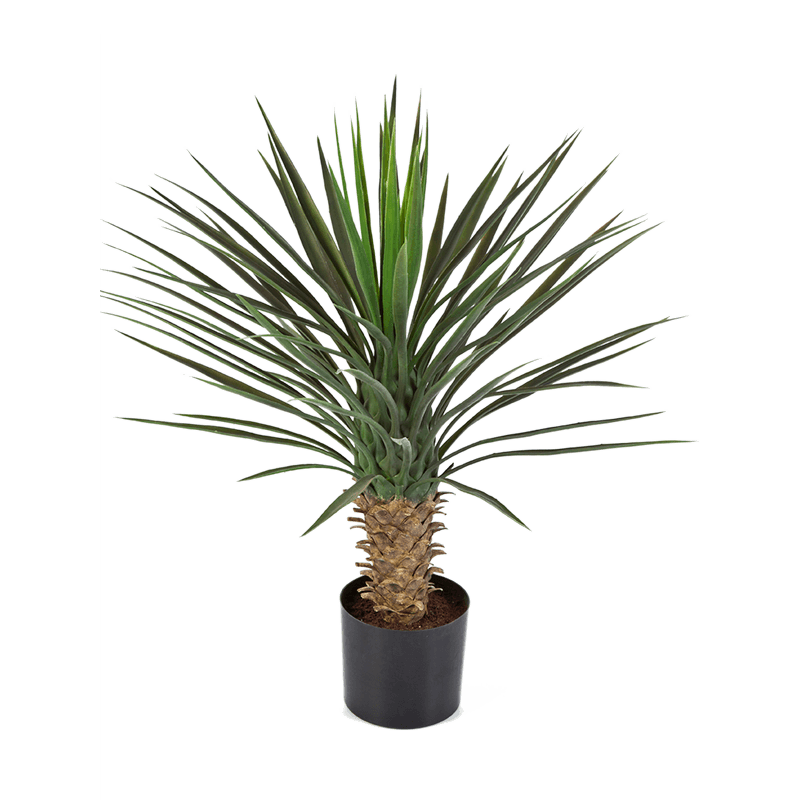 Yucca Rostrata - kunstplant