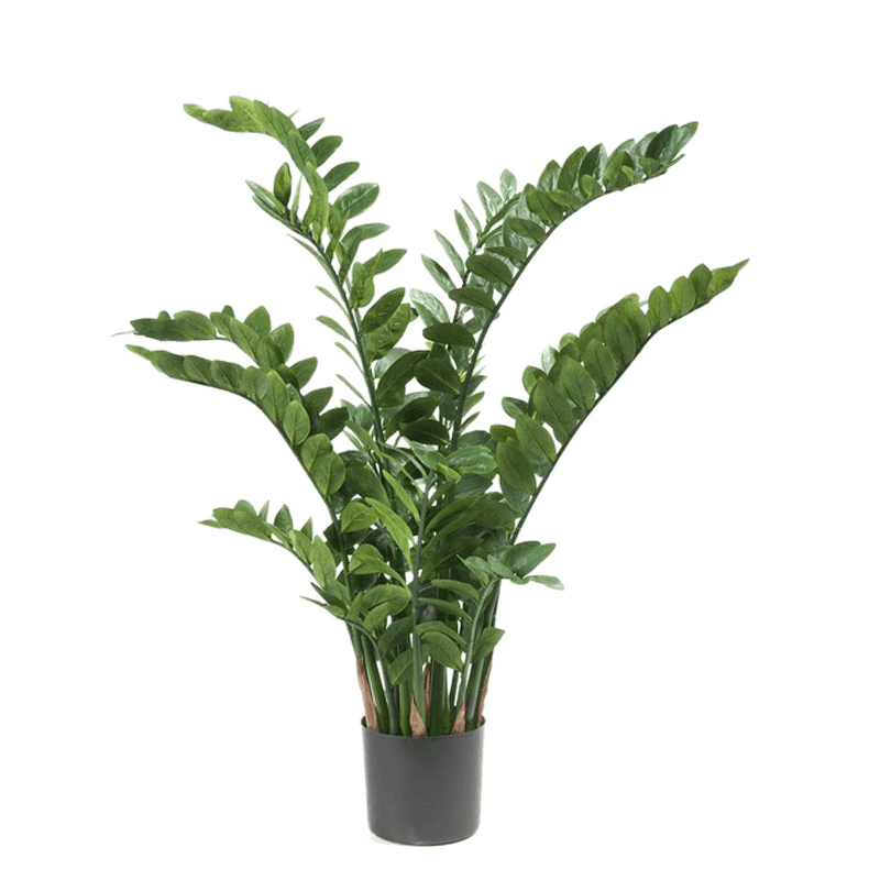 Zamioculcas - kunstplant