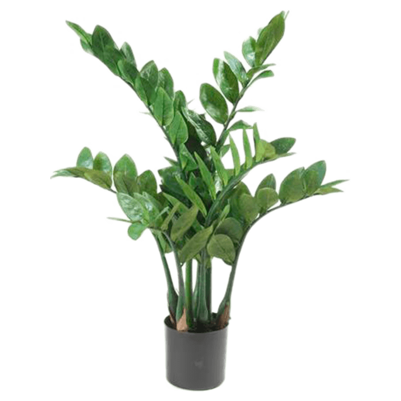 Zamioculcas - kunstplant