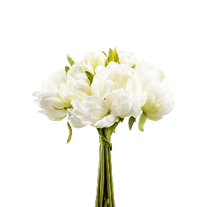 Boeket Peony White.png