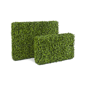 boxwood-hedge-kunstplant_0e5538.png