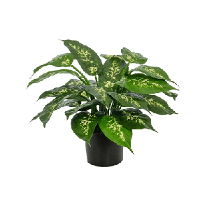 dieffenbachia kunstplant.png