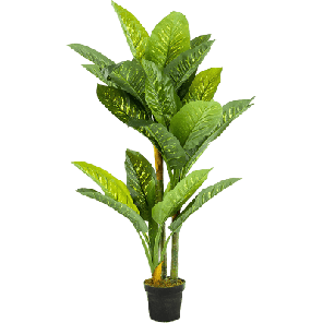 dieffenbachia toef kiunstplante.png