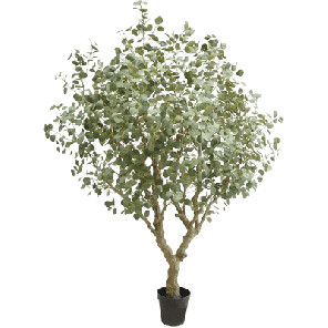 eucalyptus xxxl kunstplant.png