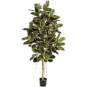 ficus-elastica-var-kunstplant_667655.png