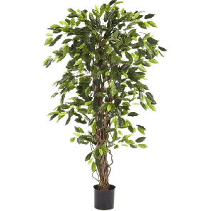 ficus-liana-kunstplant_a3ded8.png