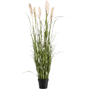 grass-pampas-pluimen-kunstplant-160-cm_b5ee7f.png