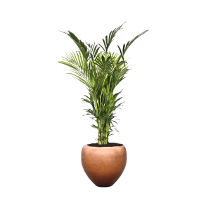 kentia-xxl-pot-copper_429fbd.png