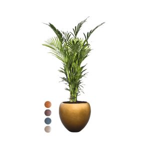 kentia-xxl-pot-honey-kleuren_2c8598.jpg