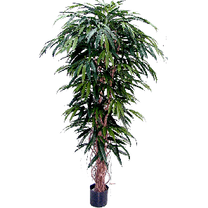 longifolia-liane-de-luxe-kunstplant_6bcacf.png