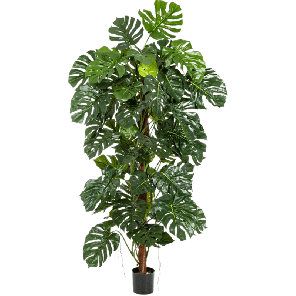 monstera-deliciosa-zuil-kunstplant-160-cm_dd7220.png