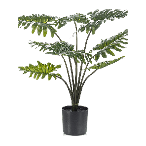 philodendron-xanadu-kunstplant_67013d.png