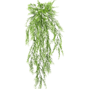 springeri-hanging-bush-75-cm_3debcf.png