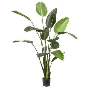 strelitzia-xl-kunstplant_620dba.png